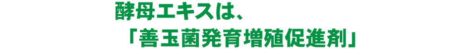 酵母エキスは、「善玉菌発育増殖促進剤」