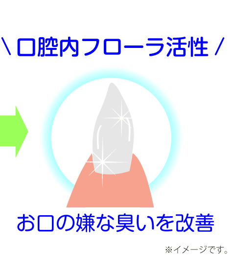 イメージ画像『健康な歯』口腔内フローラ活性　お口の嫌な臭いを改善