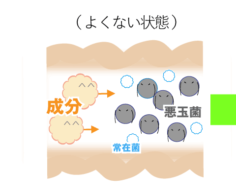 イメージ画像　よくない状態『腸内の悪玉菌が多く常在菌のはたらきがよくない』