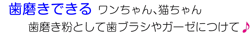 歯磨きできるワンちゃん、猫ちゃん　歯磨き粉として歯ブラシやガーゼにつけて♪