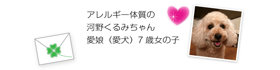 アレルギー体質の河野くるみちゃん　愛娘（愛犬）7歳女の子