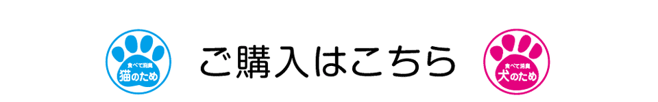 ご購入はこちら