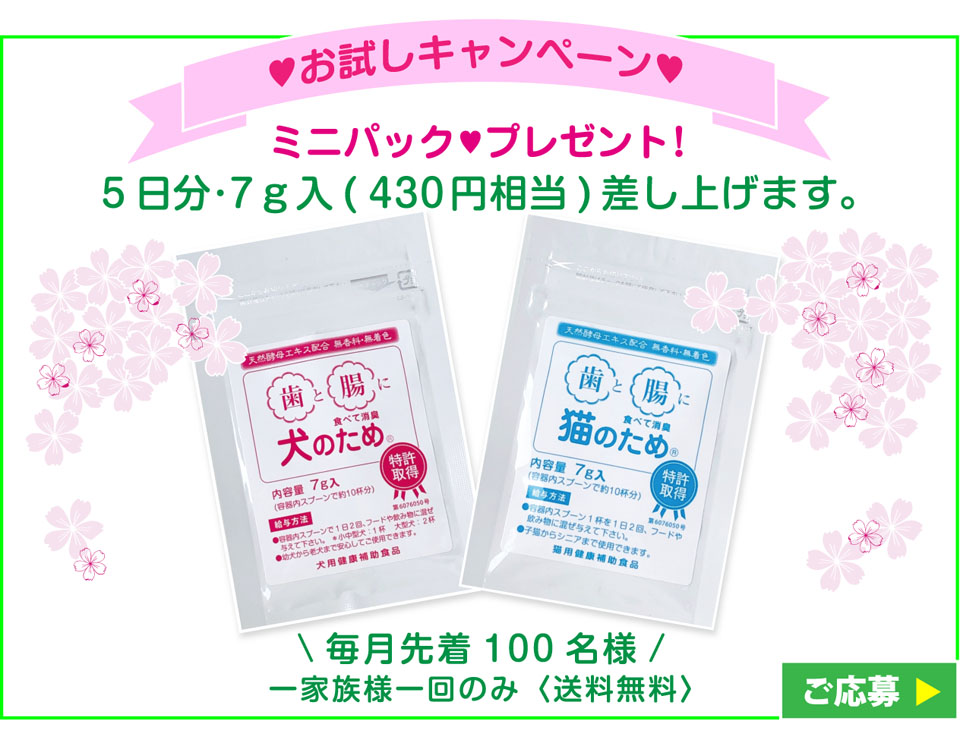 お試しキャンペーン『ミニパックプレゼント』 毎月先着100名様 5日分 7g入（430円相当）差し上げます。（一家族様一回のみ　送料無料）