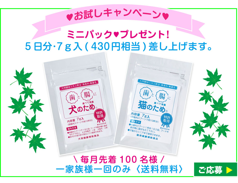 お試しキャンペーン『ミニパックプレゼント』 毎月先着100名様 5日分 7g入（430円相当）差し上げます。（一家族様一回のみ　送料無料）