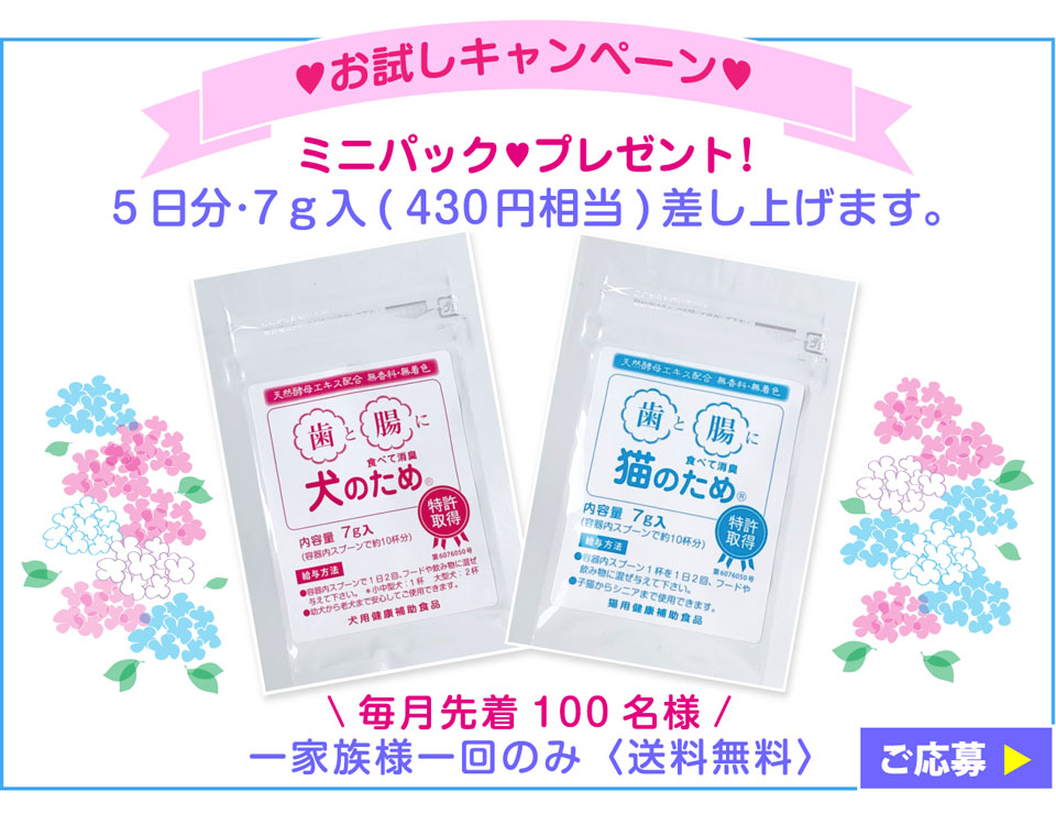 お試しキャンペーン『ミニパックプレゼント』 毎月先着100名様 5日分 7g入（430円相当）差し上げます。（一家族様一回のみ　送料無料）