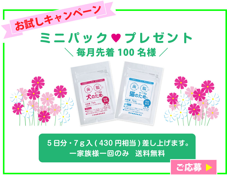 お試しキャンペーン『ミニパックプレゼント』 毎月先着100名様 5日分 7g入（430円相当）差し上げます。（一家族様一回のみ　送料無料）