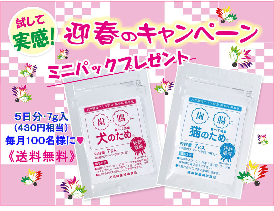 試供品プレゼントキャンペーン