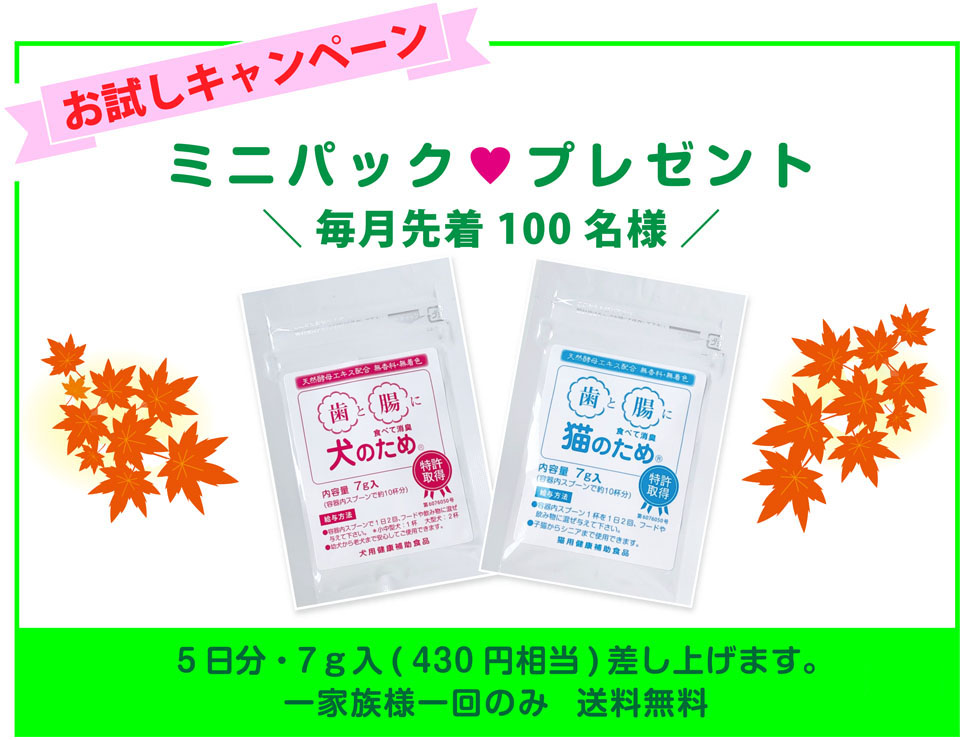 試供品プレゼントキャンペーン