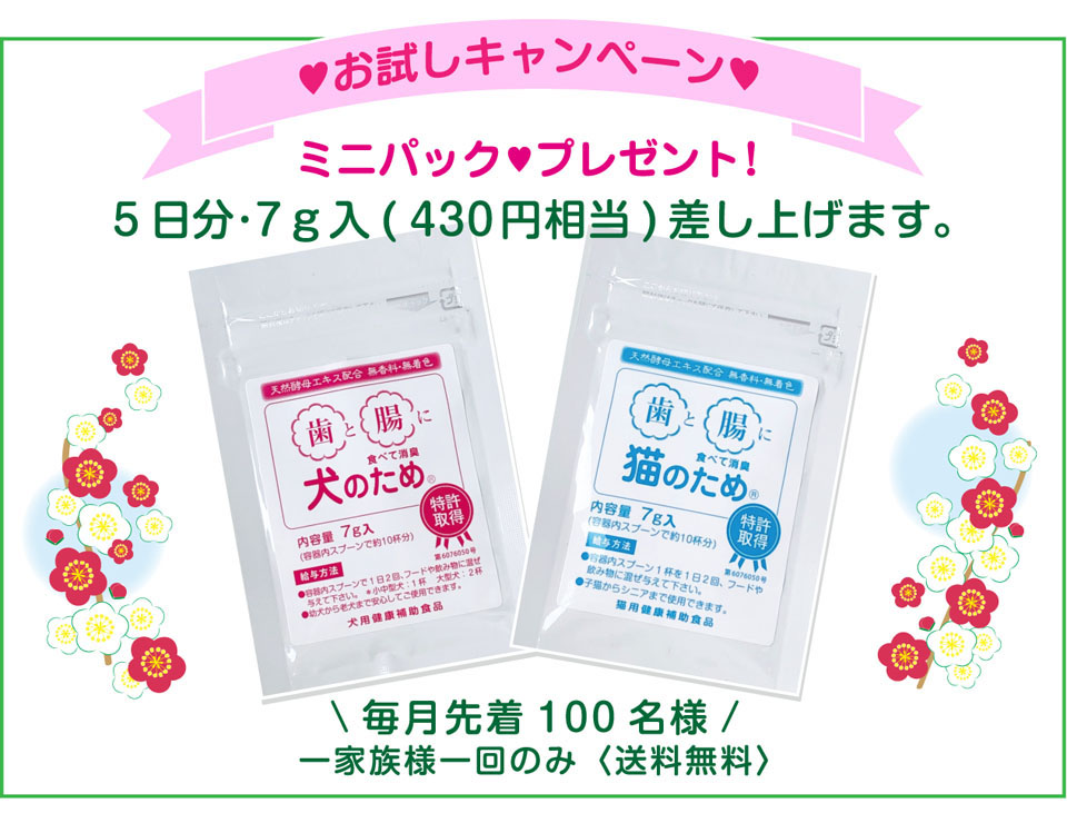 試供品プレゼントキャンペーン