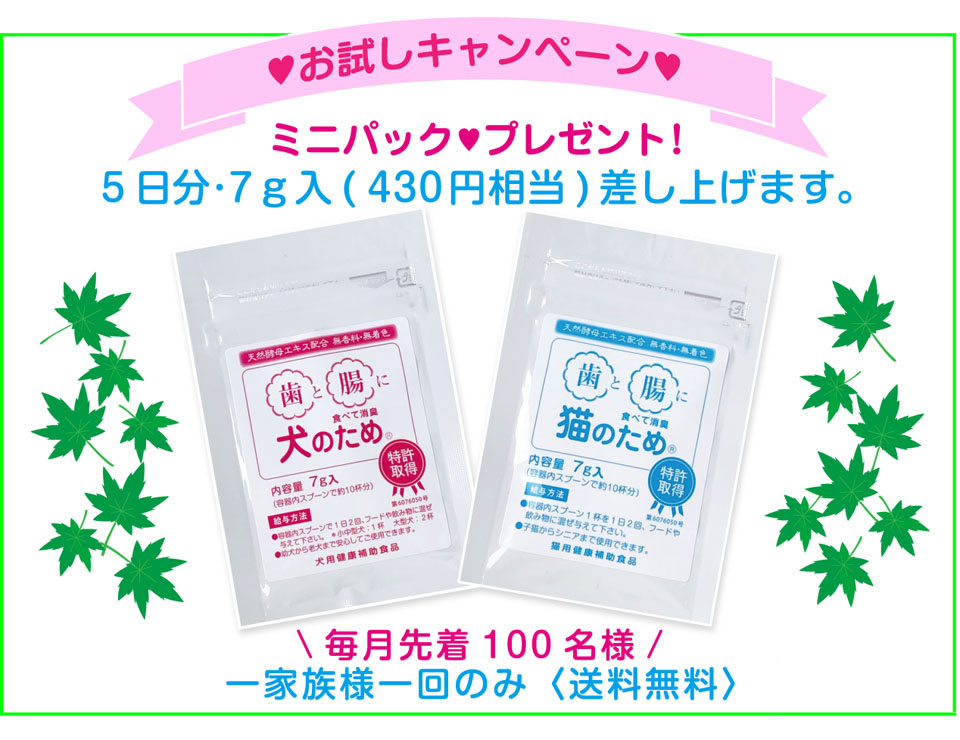 試供品プレゼントキャンペーン